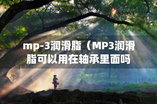 mp-3润滑脂（MP3润滑脂可以用在轴承里面吗）